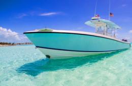 Багамские острова - «всё о багамах: виза, местная валюта, кухня, цены, жилье, животный мир